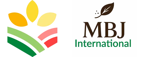 mbj international